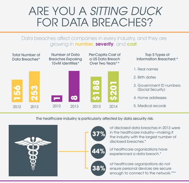Sitting duck infographic